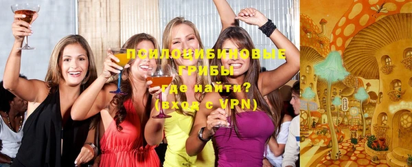apvp Лагань