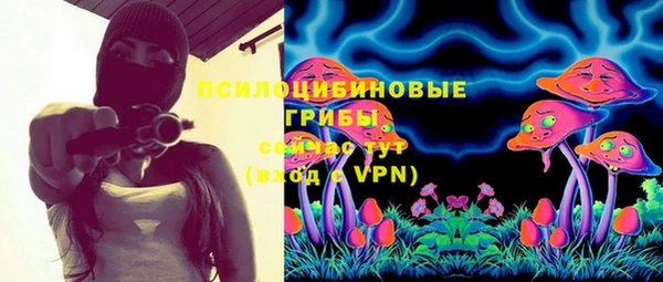 a pvp Ладушкин