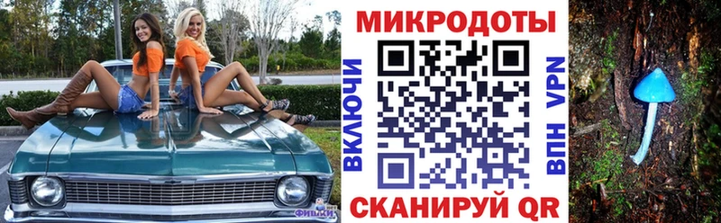 купить наркотики цена  Иланский  Псилоцибиновые грибы мицелий 